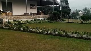 Puncak Bogor 2