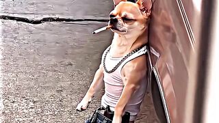 #aesthetic (1080p60).mp4