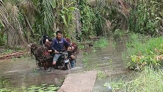 Pejuang rupiah 7