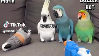 Funny Parrot 2