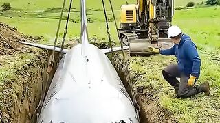 building a house from a shipwreck