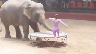 She Jumped From An Elephant Trampoline And Landed On A Running Horse! INSANE! 😱🐴