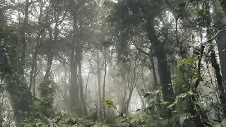 Tenangku