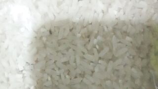 Beras