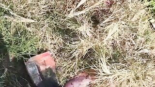 Modern fishing slingshot