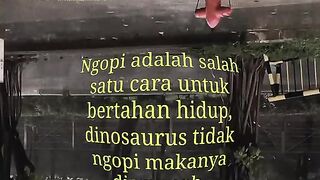 Ngopi 31