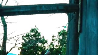 Tenang 6