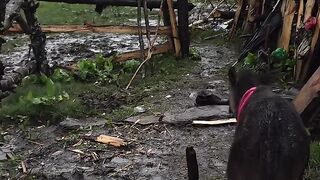 Mountain village life