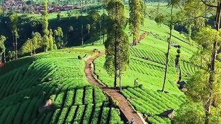 Pesona terasering baru gantung di lereng gunung cikuray dan view kota Garut nya🌱😍