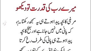 Islamic vedio 31