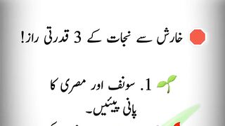 Al Hadi Studio Urdu