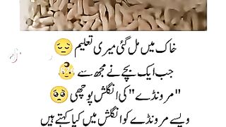 funny vedio 48