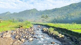scenery of flowing water