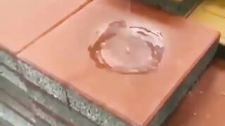 These Amazing Pavement Blocks Let Rainwater Soak Into the Ground! 🌧️🏙️