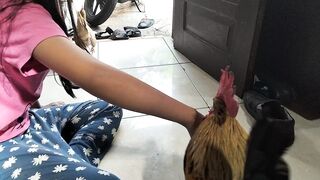 chicken 7