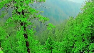 Muree Pakistan 2