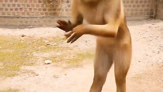 Dancing 131