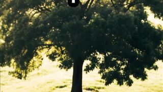 REFLECTION  #God #motivation #shorts #Jesus #hope #viral 3