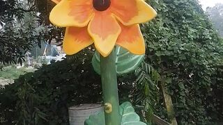 কি ফুল