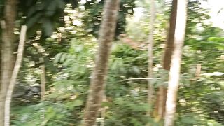Little Jungle