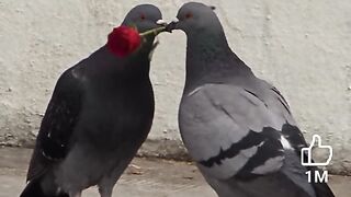 Love you too 4