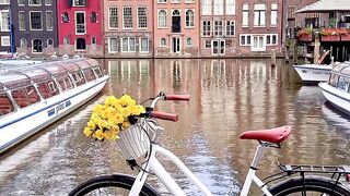 Good morning 🚲🌼🕊️ ⁠#Amsterdam❤️❤️❤️