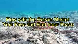 Flow with the Ocean: Master Your Pace and Find Inner Peace