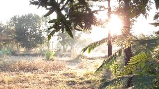 A deslumbrante natureza