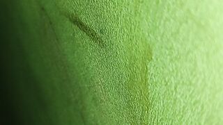 The green wall