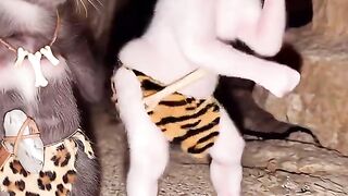 Cat lovers 15