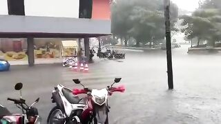 LOS DE TOY STORY LA PELÍCULA