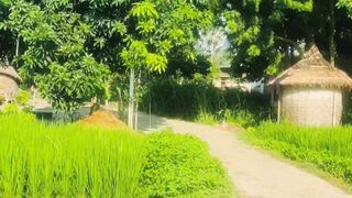 Village Mornings & Farming Life: How Life Shapes Us 🌾🌅"