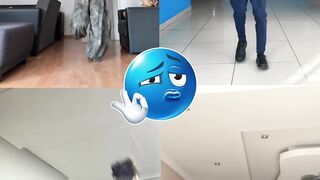 Dance viral tiktok 15