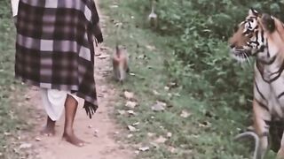 Abhinay AI