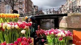 Beautiful #Tulip boat at the Amsterdam canals❤️❤️❤️