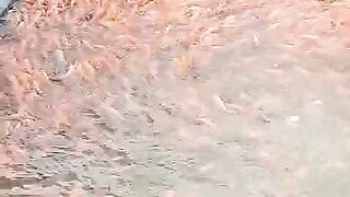 Tombro fish cultivation