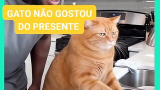 GATO NÃO GOSTOU DO PRESENTE