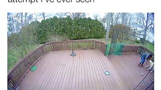 funny dog funniest murder