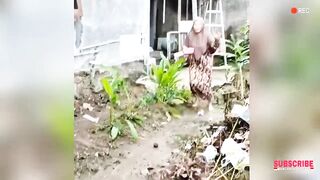 THE MOST RIDICULOUS FUNNY MOMENTS ‼️FUNNY VIDEOS WILL MAKE YOU LAUGH