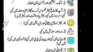 Rajpoot 3