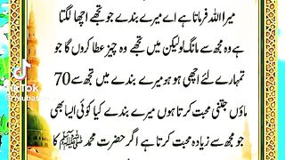 mubassir
