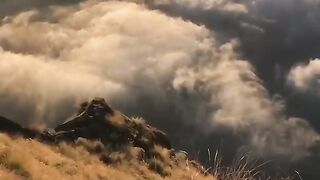 Above the Clouds 🌄 | Breathtaking Mountain Sunrise & Golden Sky #Shorts