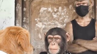 Itsmonkeybhaii