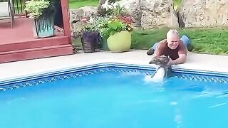 Saved a fawn in the pool! After he passed, it guarded his grave with flowers!😭❤️#deerrescue