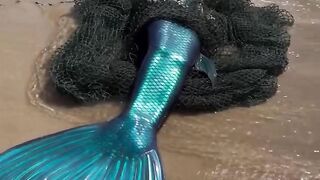 Fish in river