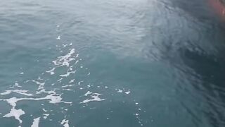 River in monster