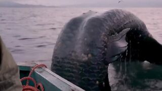 Sea monster 3