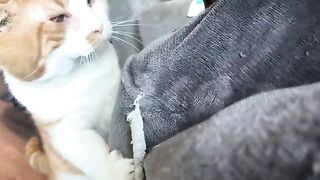 My tum