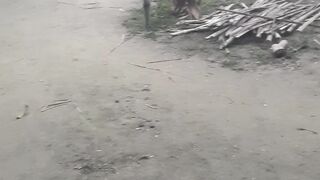An Elderly Man’s Hard Work and Struggle