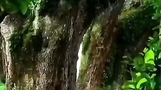 Beautiful place | nature view | subscribe